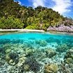 Coral reefs in Thailand where you doing your specialty courses