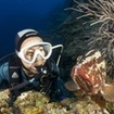 There is time to see Thai marine life during the Discover Scuba Diving course
