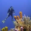 Phuket PADI Adventure Diver - Drift diving